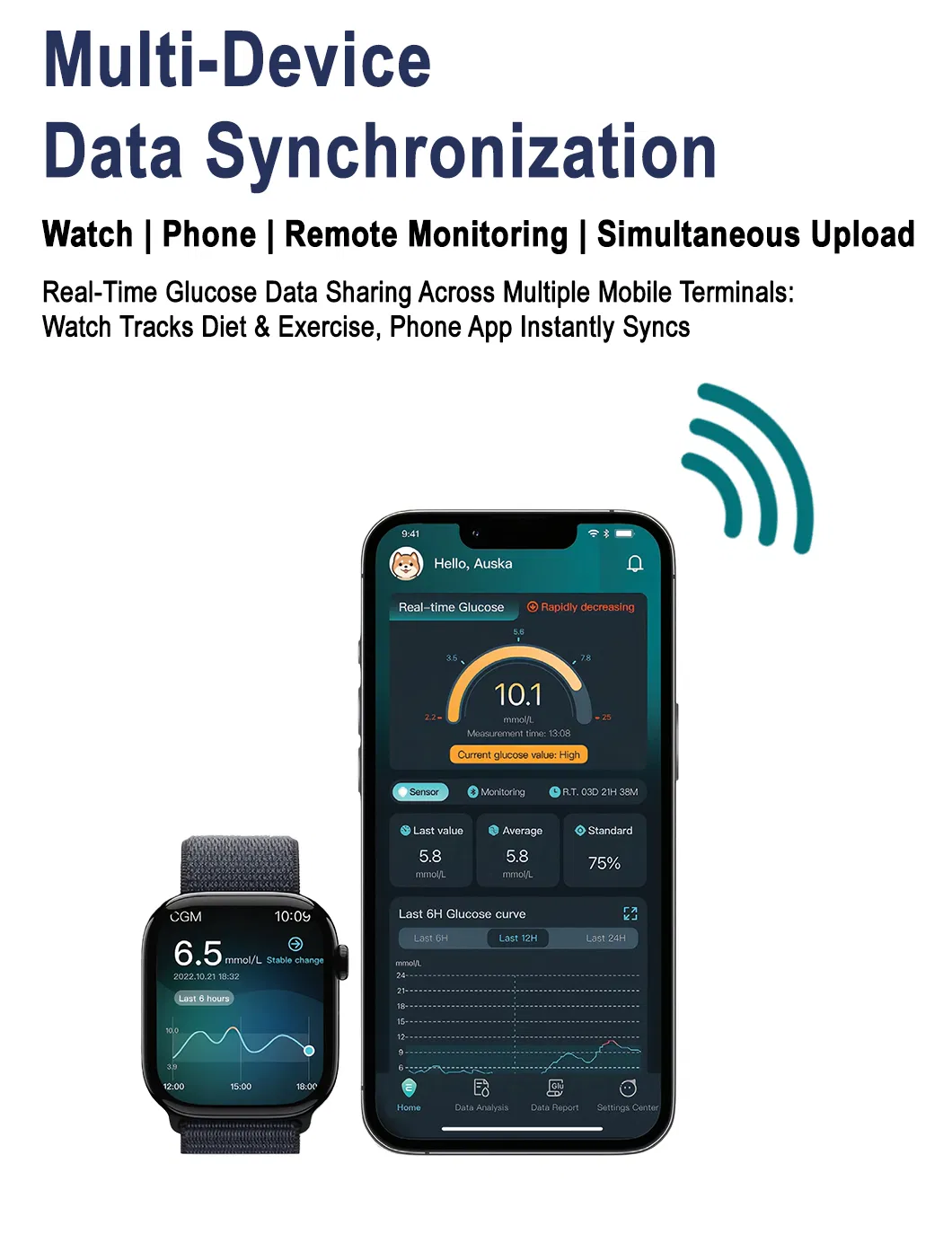 CGM ISO13485 System