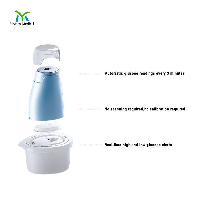 Cgm System Continuous Glucose Monitor / Remote Data Sharing with Family and Friends