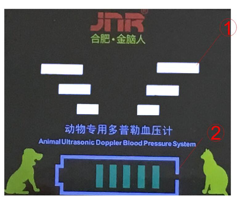 Display Interface