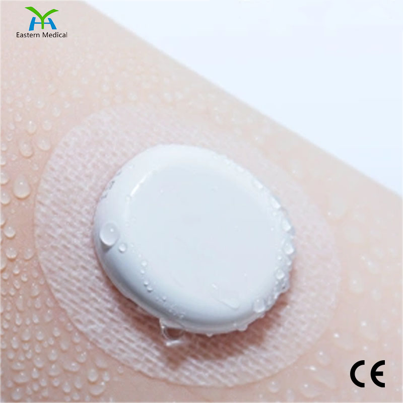 Continuous Glucose Monitoring System Cgm