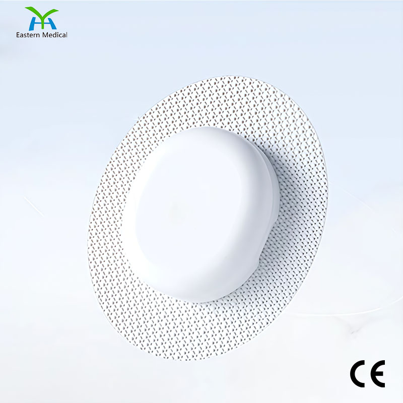 Continuous Glucose Monitoring Blood Glucose Monitor Cgm