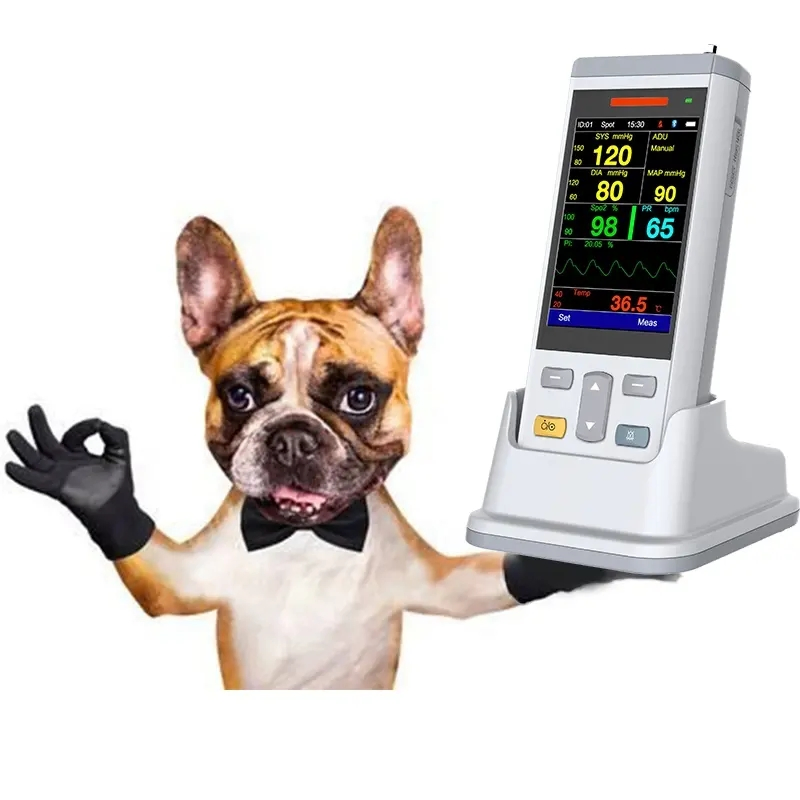 Handheld Mainstream Capnograph Etco2 Monitor with SpO2 Test