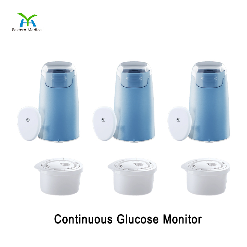 Cgm System Continuous Glucose Monitor / Remote Data Sharing with Family and Friends