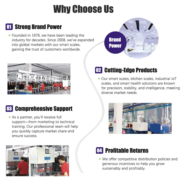 Design Layout
