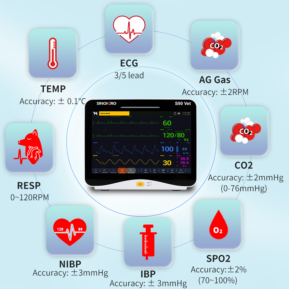 Portable Vital Signs Monitor
