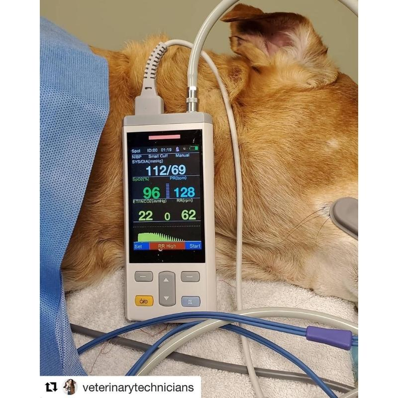 Veterinary Pules Pet Vital Signs Capnograph Monitor Animal Sensor Handheld Pulse Machine