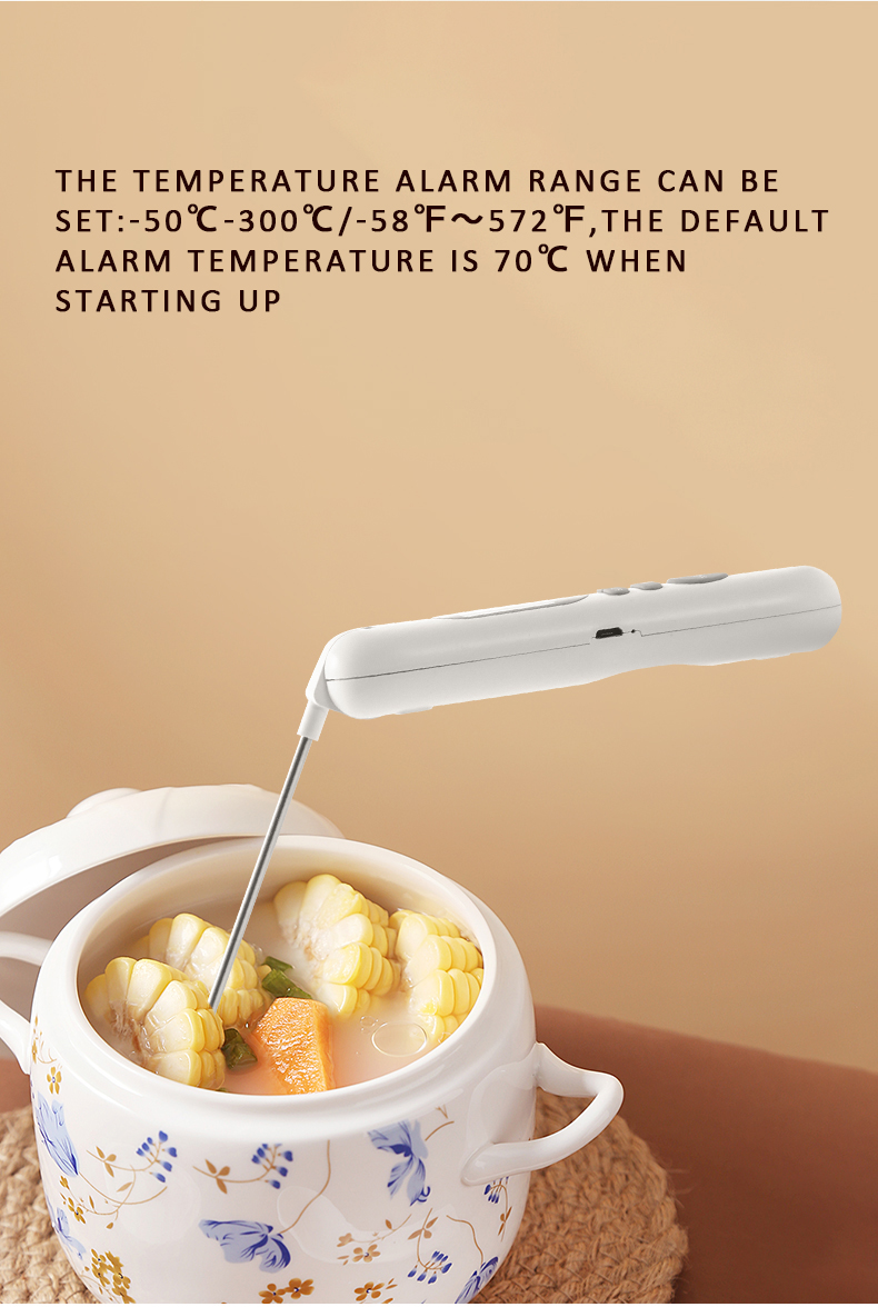 Thermometer 6