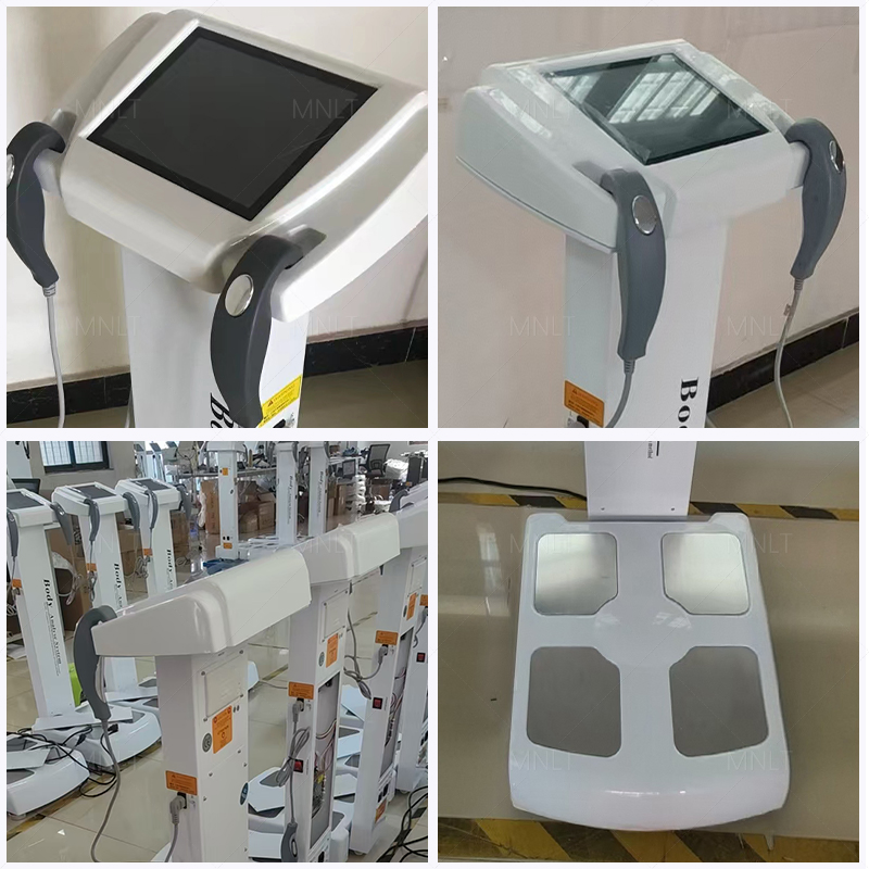Professional Body Composition Analyzer Machine &amp; Body Analyzer for Beauty Salon Equipment - Health &amp; Body Analysis Analyzer