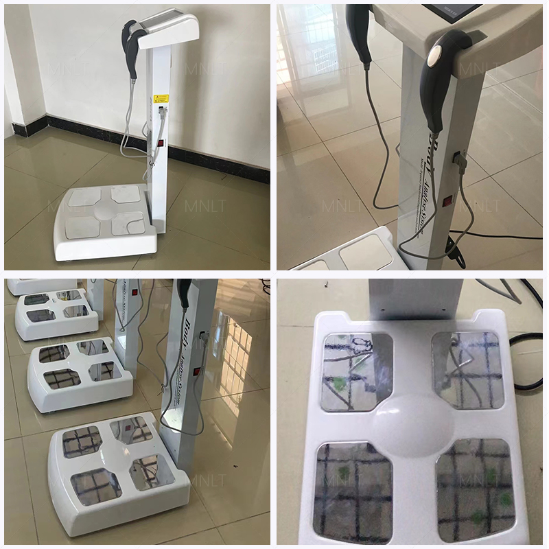 Professional Body Composition Analyzer Machine &amp; Body Analyzer for Beauty Salon Equipment - Health &amp; Body Analysis Analyzer