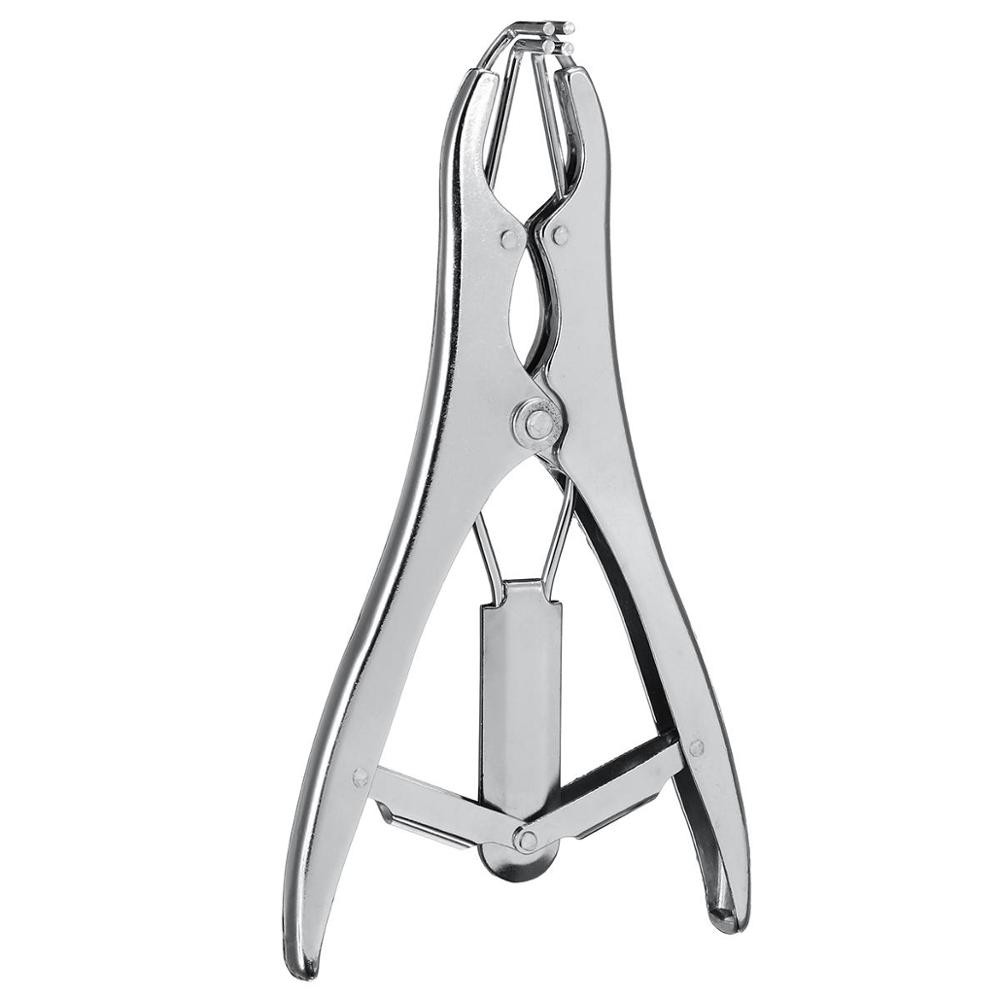Related Product 1