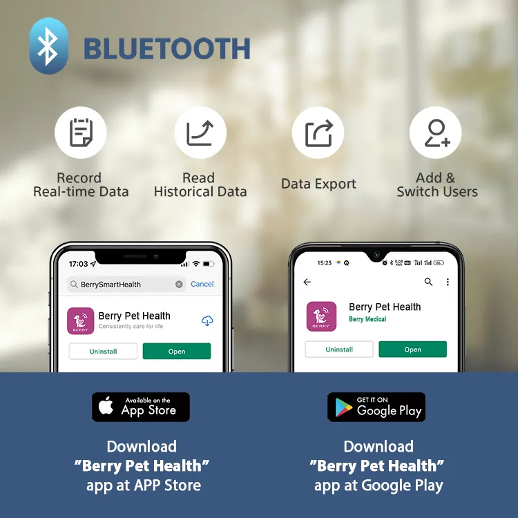Download APP