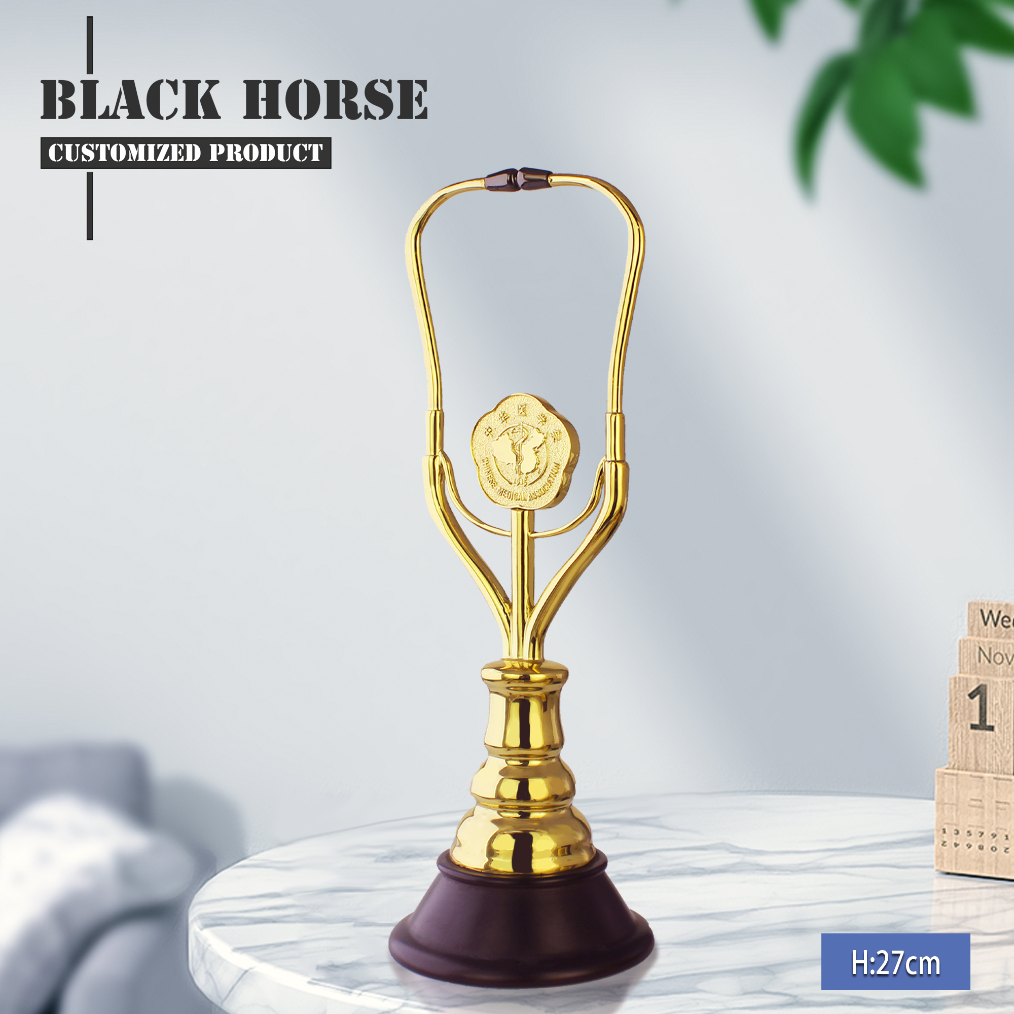 Product Description Image
