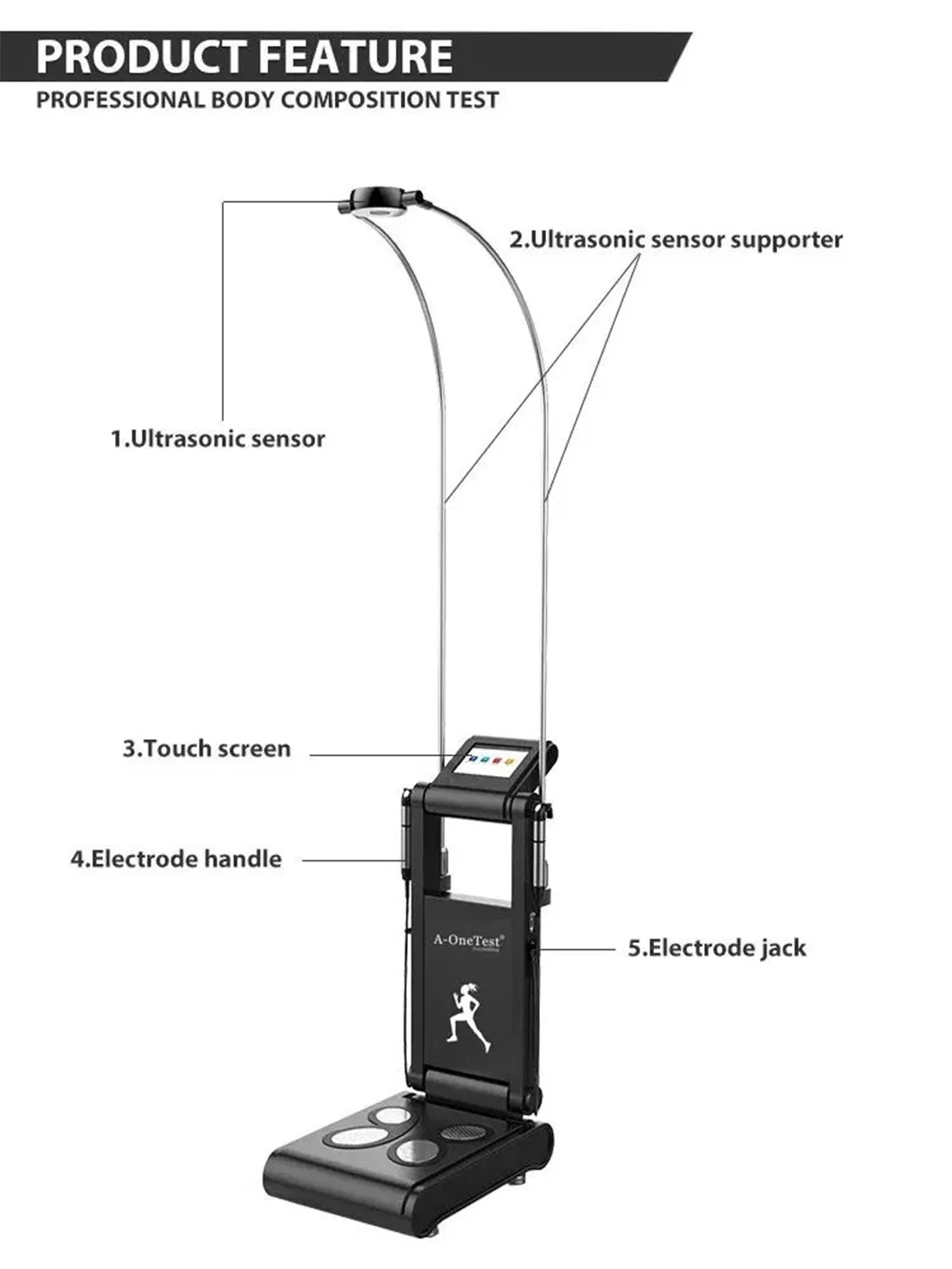 Muscle and Fat Analysis