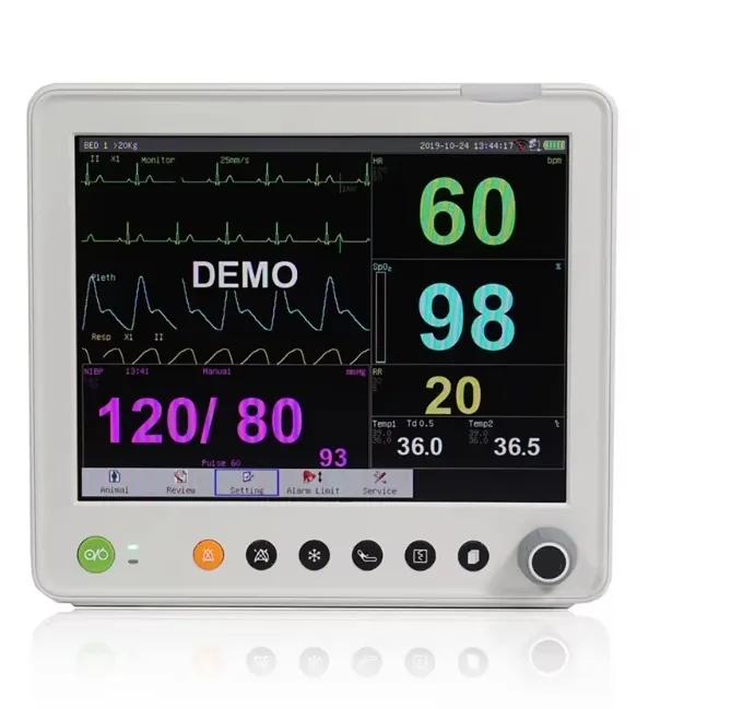 Patient Monitor View 1