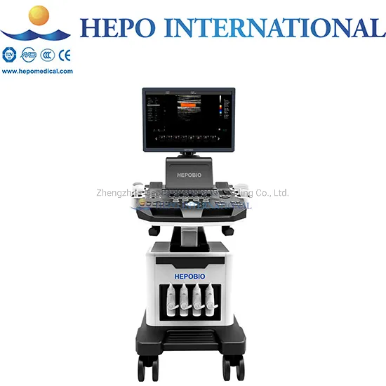 4D Trolley Display