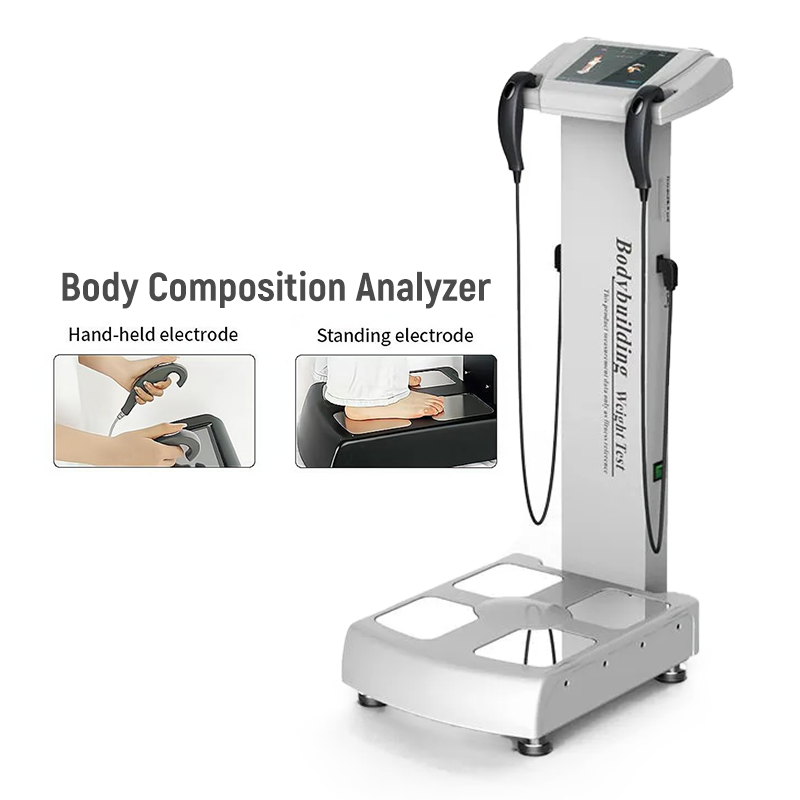 Professional Body Composition Analyzer Machine &amp; Body Analyzer for Beauty Salon Equipment - Health &amp; Body Analysis Analyzer