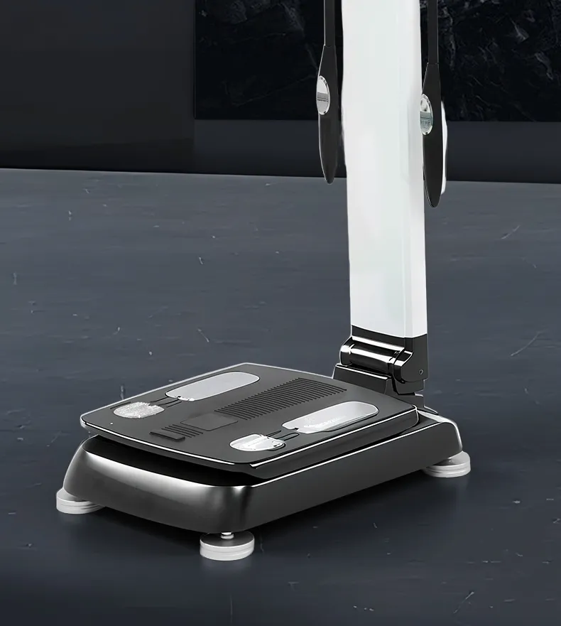 Digital Weight Scale