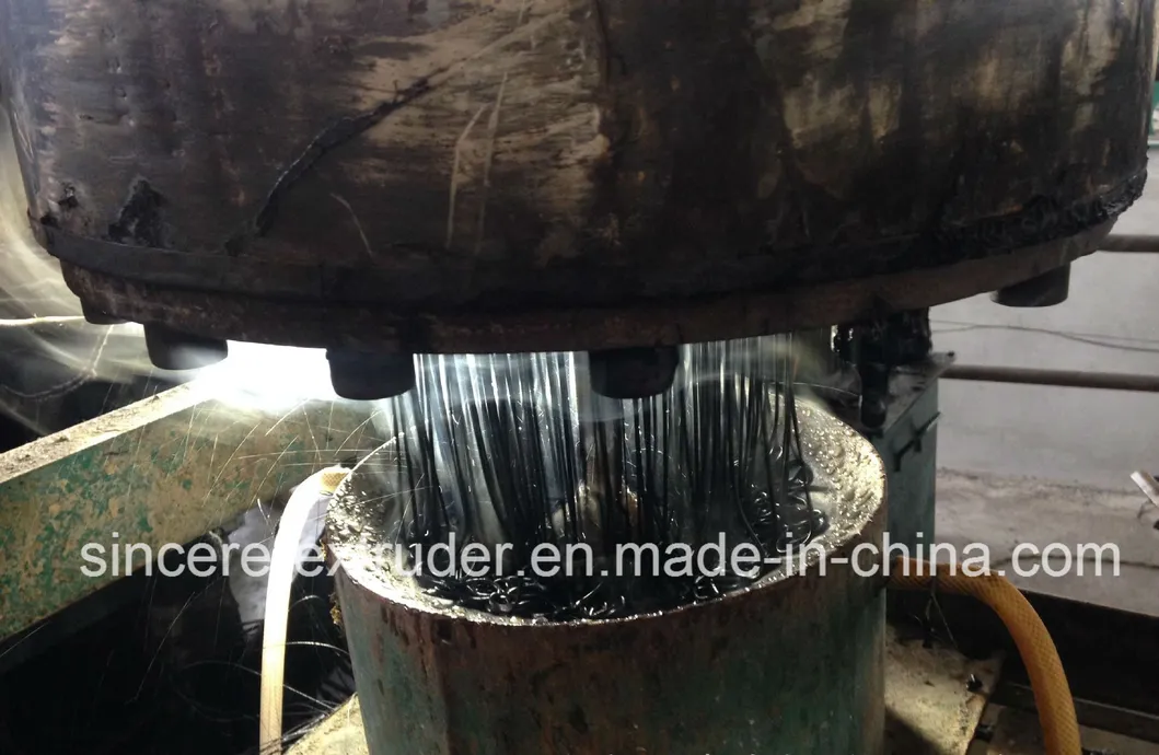 Production Process