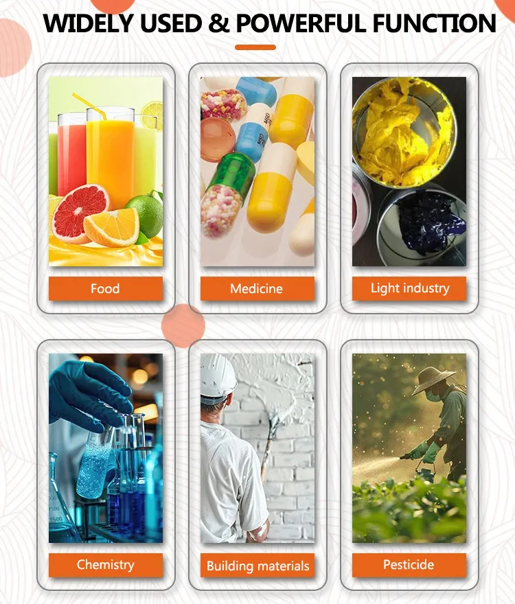 Double Planetary Mixer Detail 1