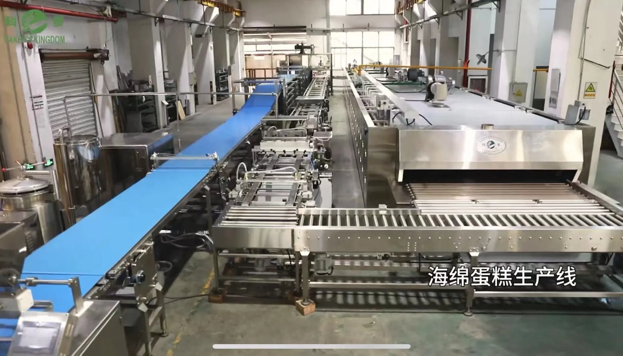 Direct Heated Gas and Electric Tunnel Oven, Bread, Pizza, Cake