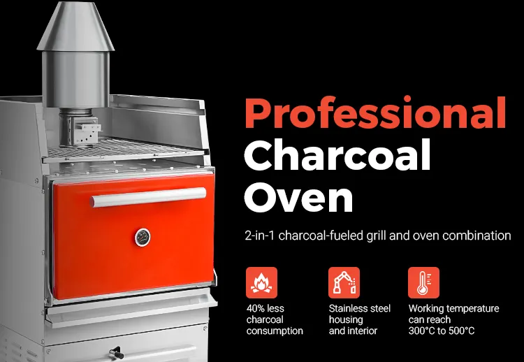 Professional Charcoal Oven View 2