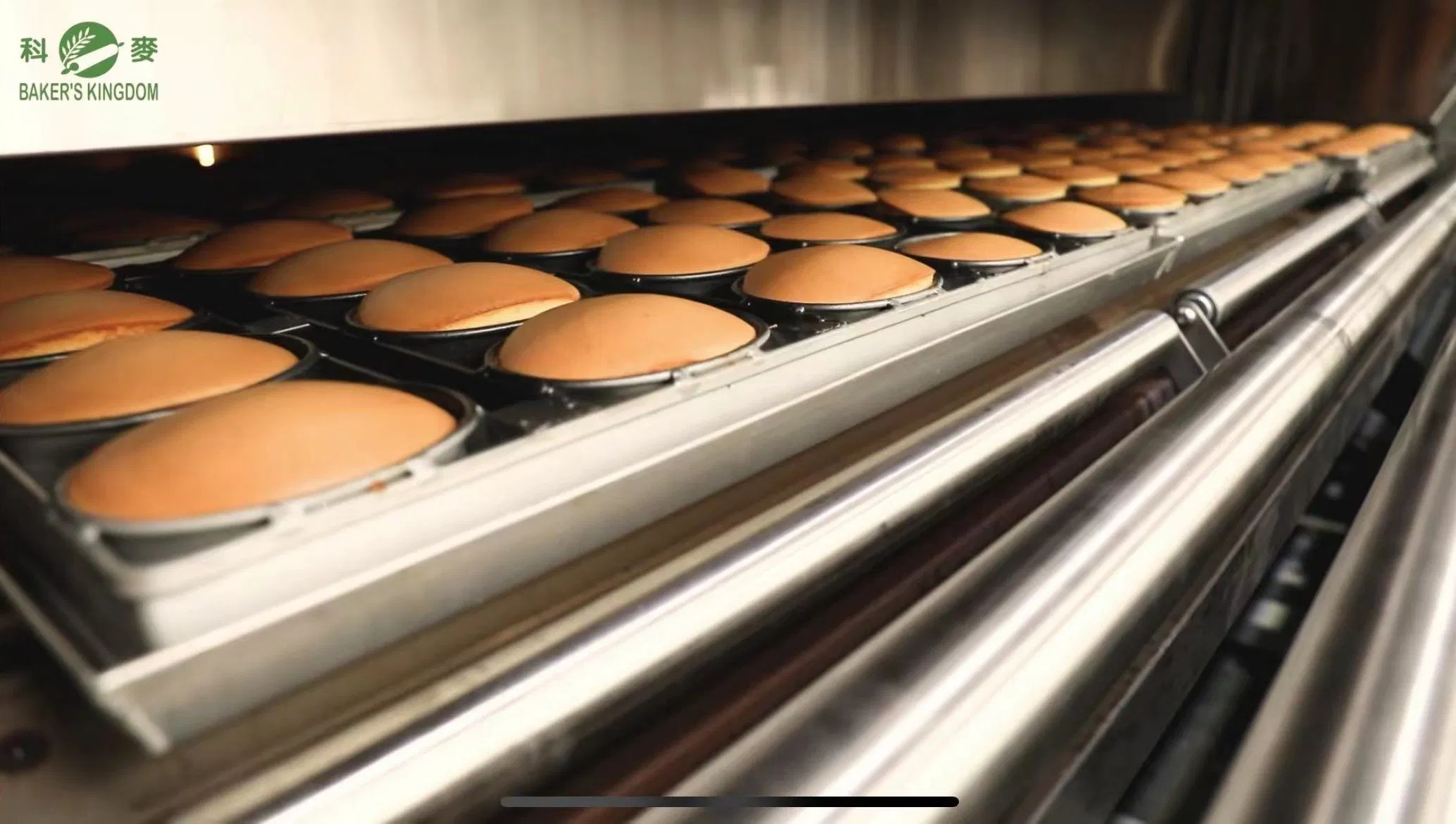 Direct Heated Gas and Electric Tunnel Oven, Bread, Pizza, Cake