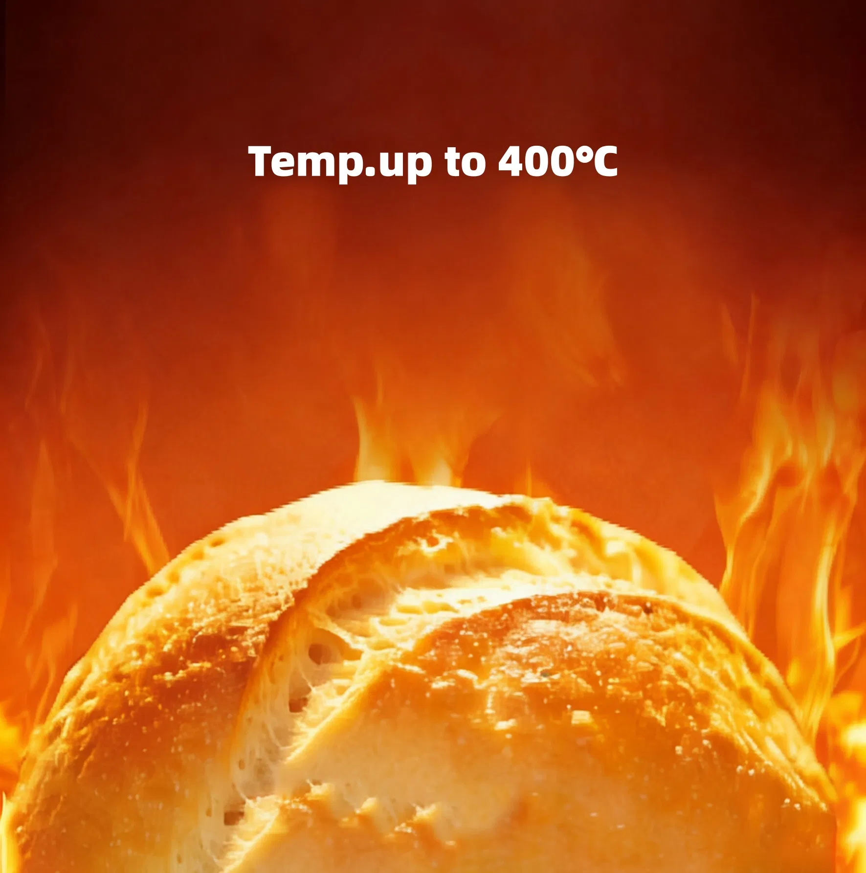 Internal Tray System