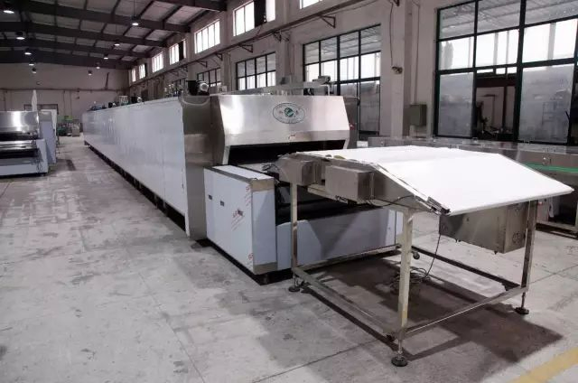 Direct Heated Gas and Electric Tunnel Oven, Bread, Pizza, Cake