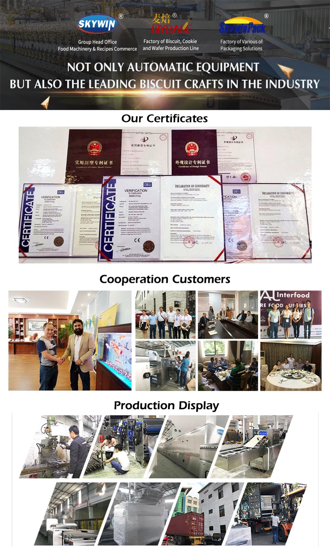 Professional Biscuit Production Line