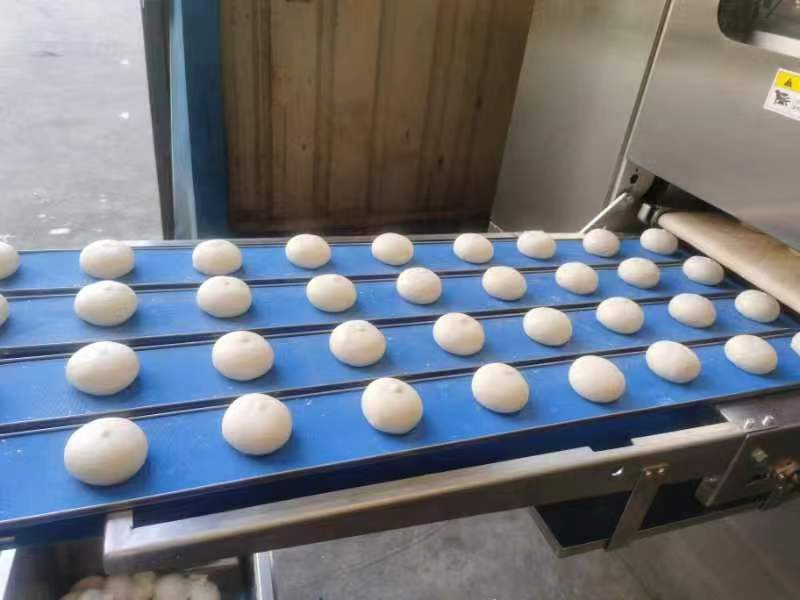 5 Row Automatic Continuous Dough Divider Rounder