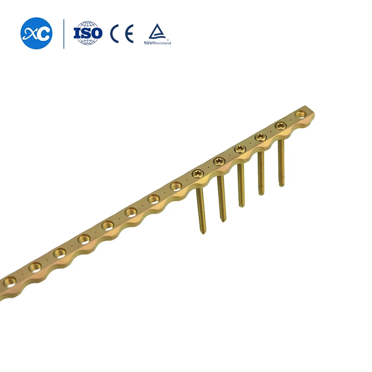 Orthopedic Veterinary Bone Surgery Sterilization Box Locking Screw Implants