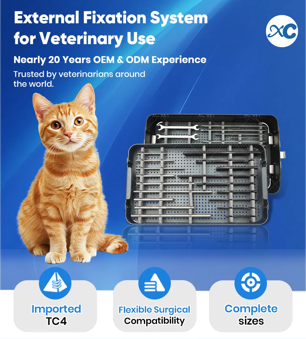 External Fixation System