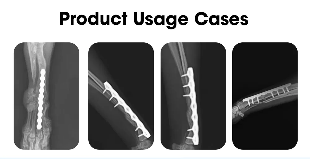 Veterinary Orthopedic Implant