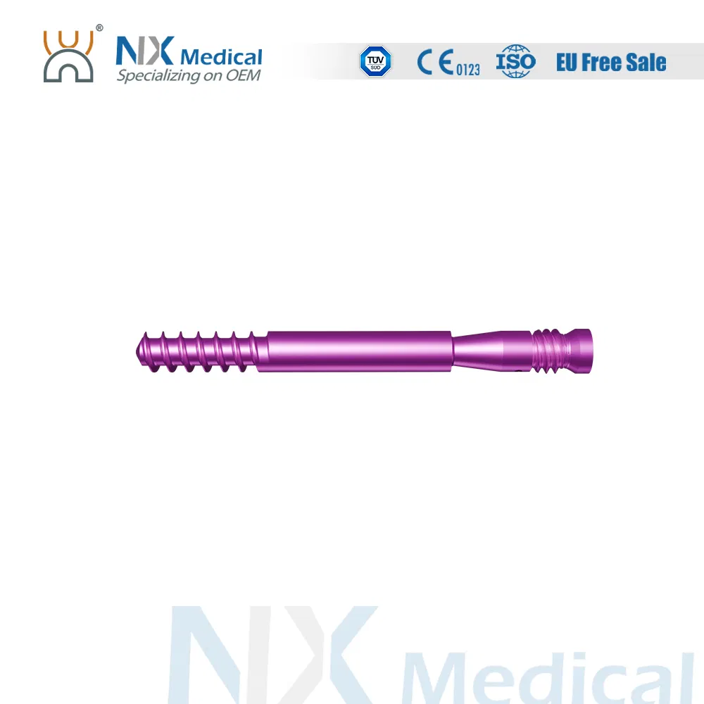 Nx Medical Titanium Locking Femoral Neck System for Trauma Fixation