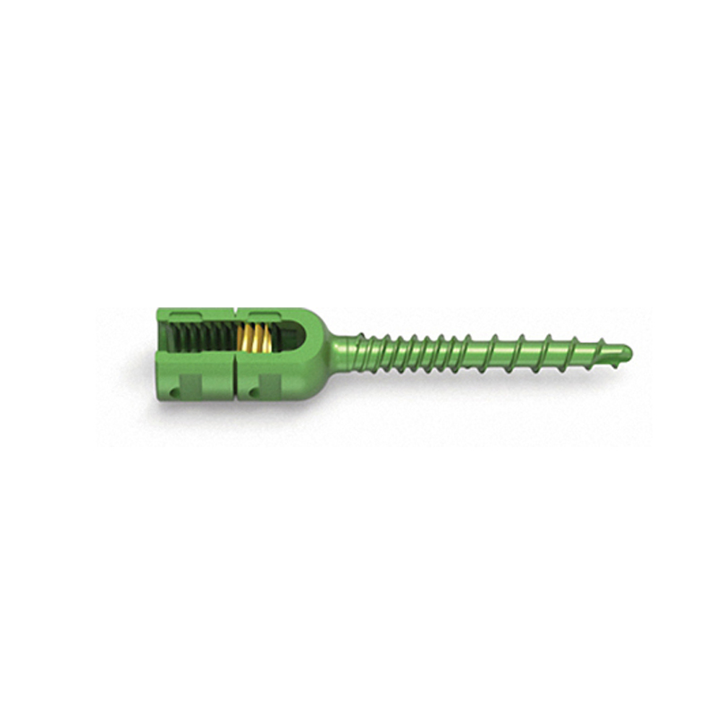 Orthopedic Implant Spinal System (Double Core and Double Thread Type)