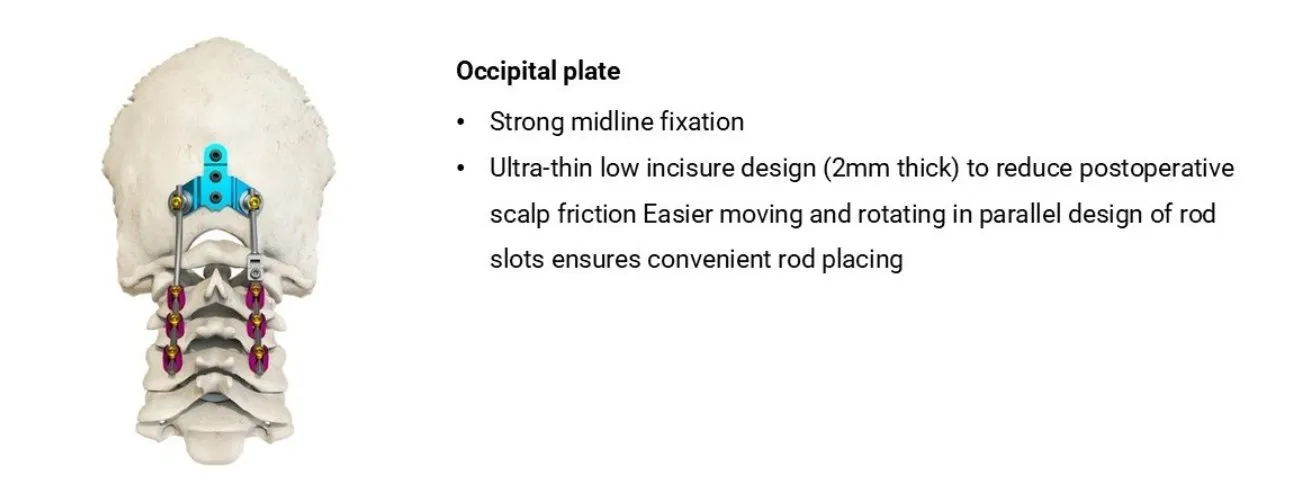 Spinal System Component 2