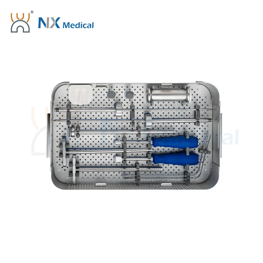 Nx Medical OEM/ODM Support Orthopedic Spine Implant Lumbar Cage System
