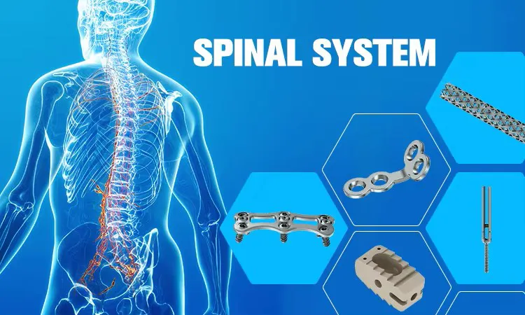 Spinal Fixation System