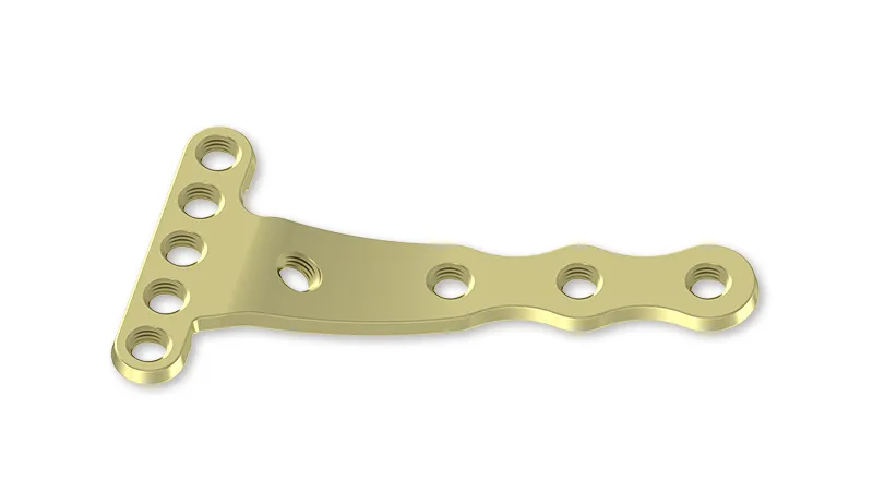 Orthopedic Plates