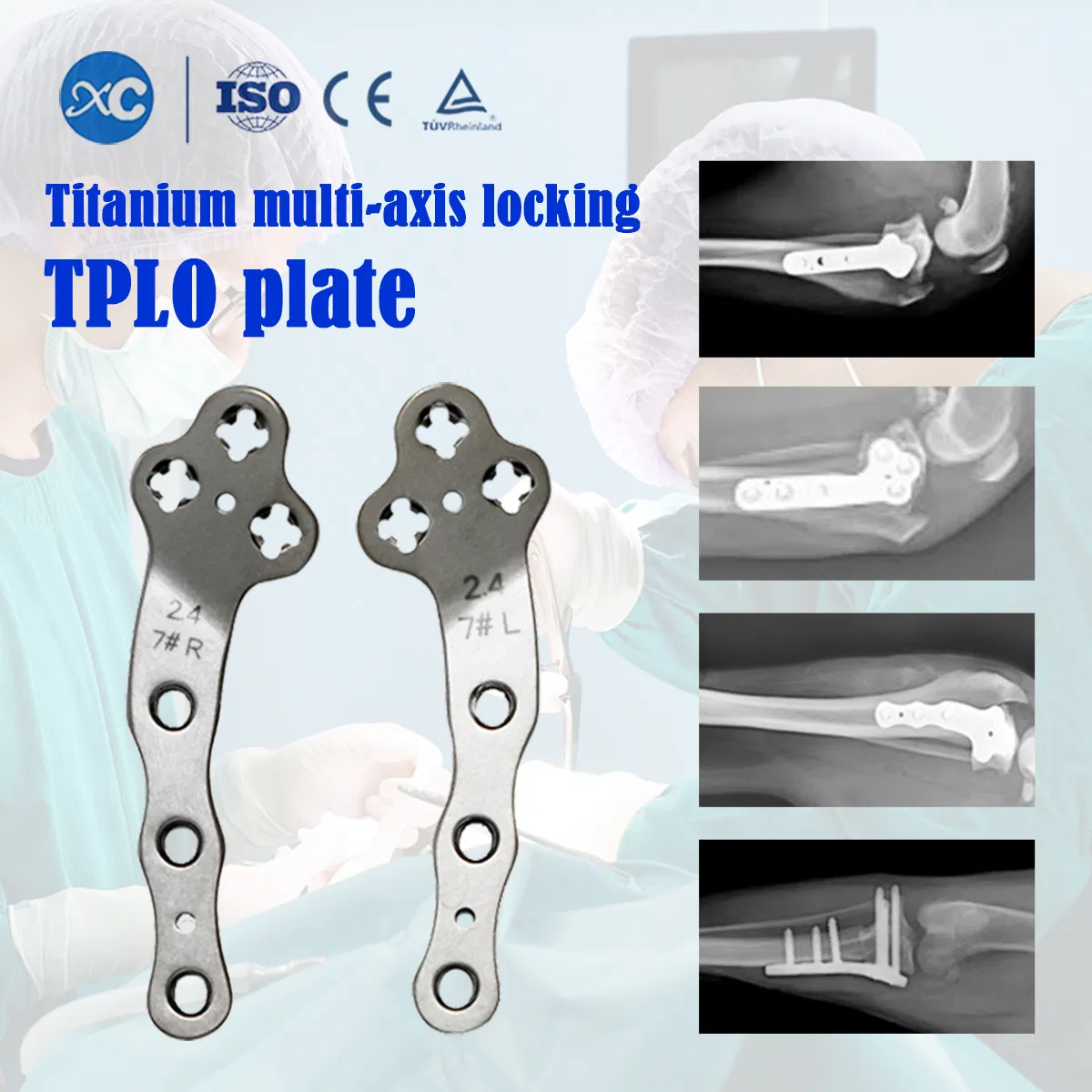 Multi-Axial Tplo Locking Plate for Veterinary Orthopedic Trauma Implants