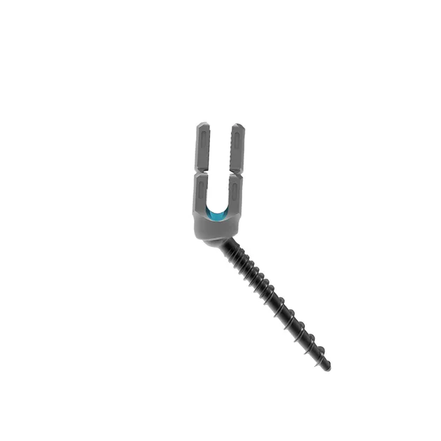 Pedicle Screw System 3