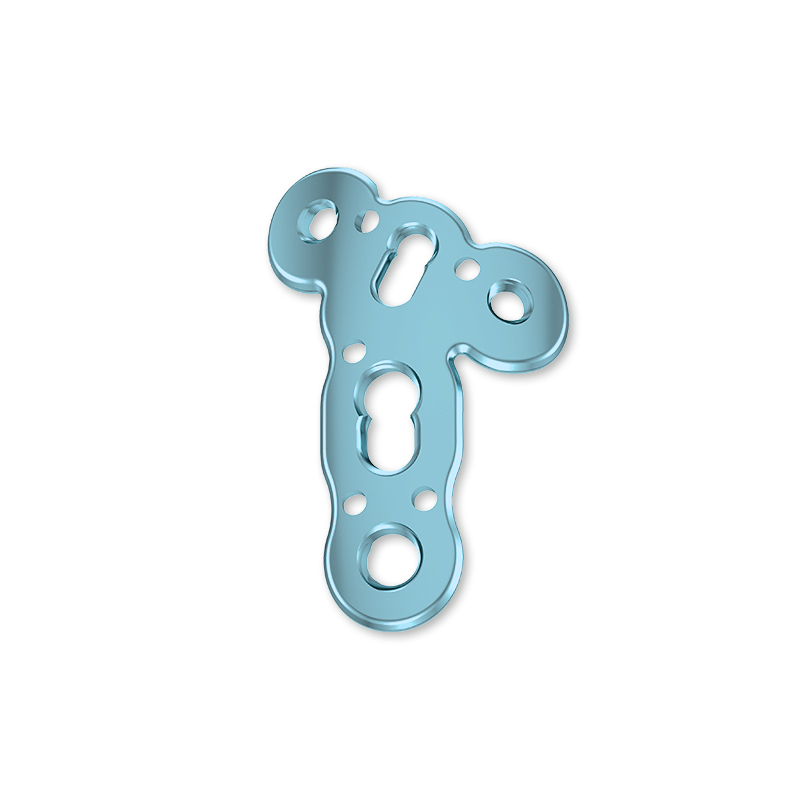 Titanium Screw and Plate Orthopedic Implant System