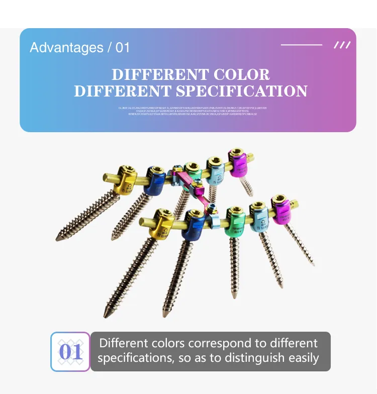 Spine Fixation System