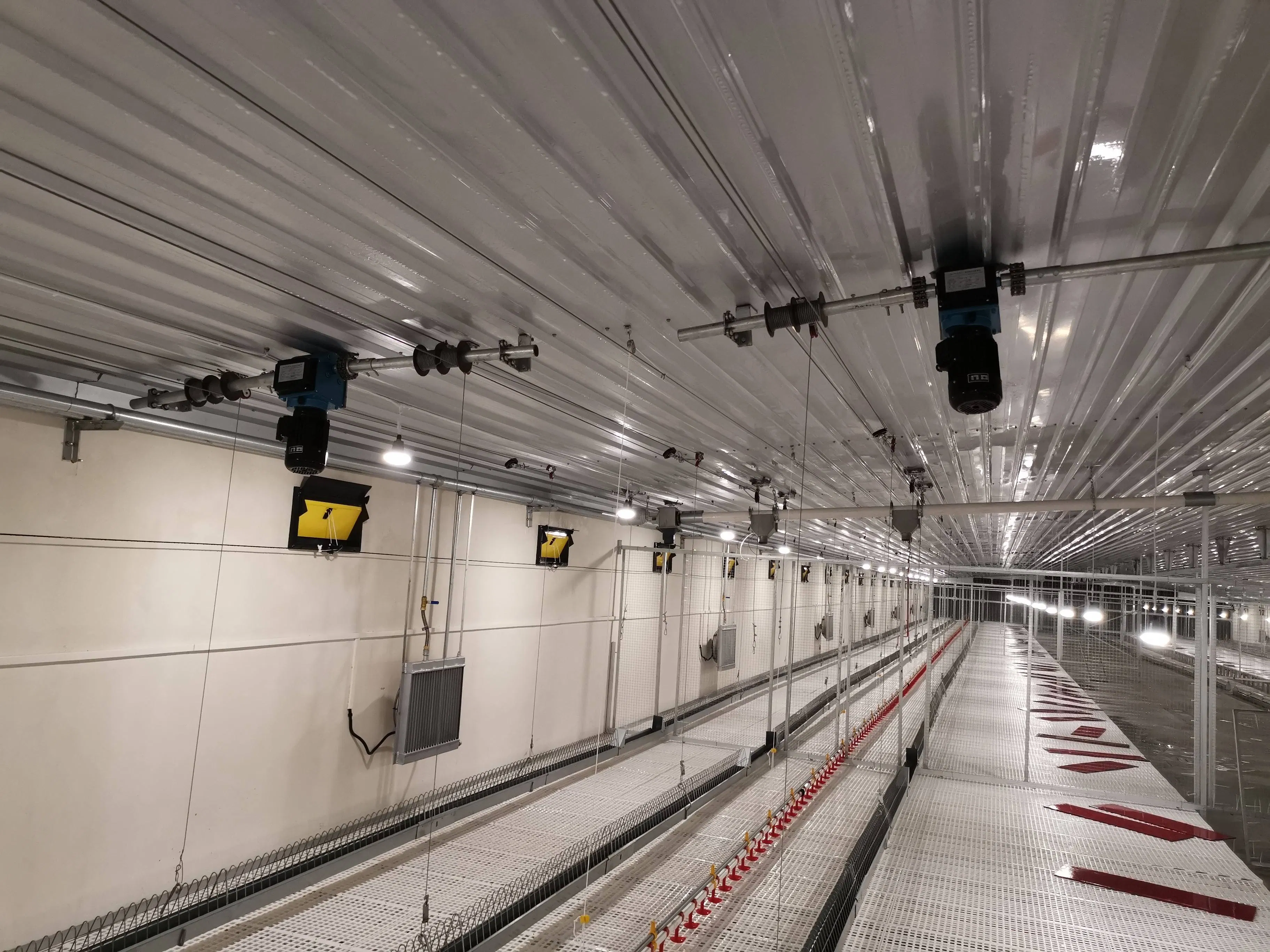 Premium Plastic Poultry Floor System for Chicken Breeders