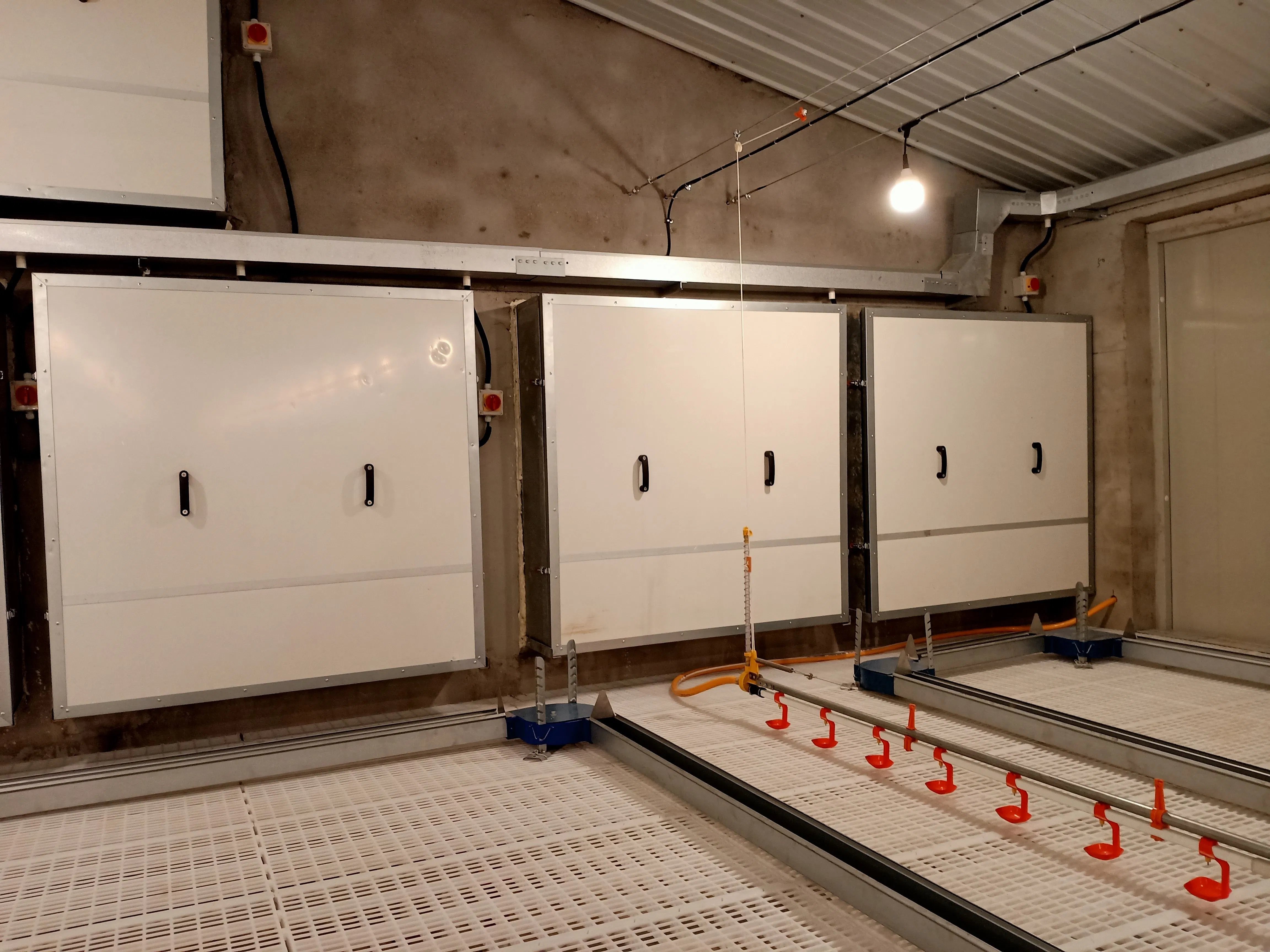 Premium Plastic Poultry Floor System for Chicken Breeders