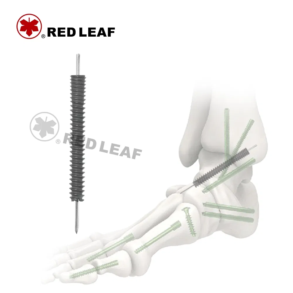 Red Leaf Reusable Headless Compression Hollow Screw Set Orthopedic Implant for Veterinary and Human Surgery Distributor Partner
