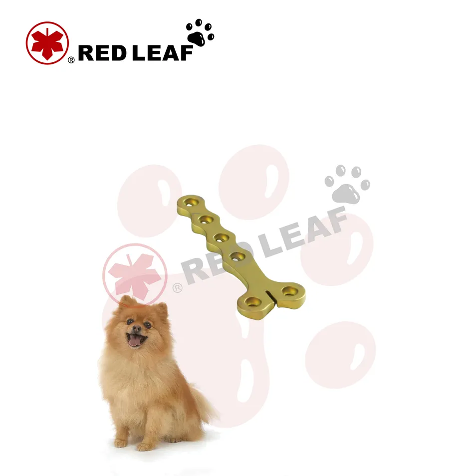 Small Animal Orthopedic Tools