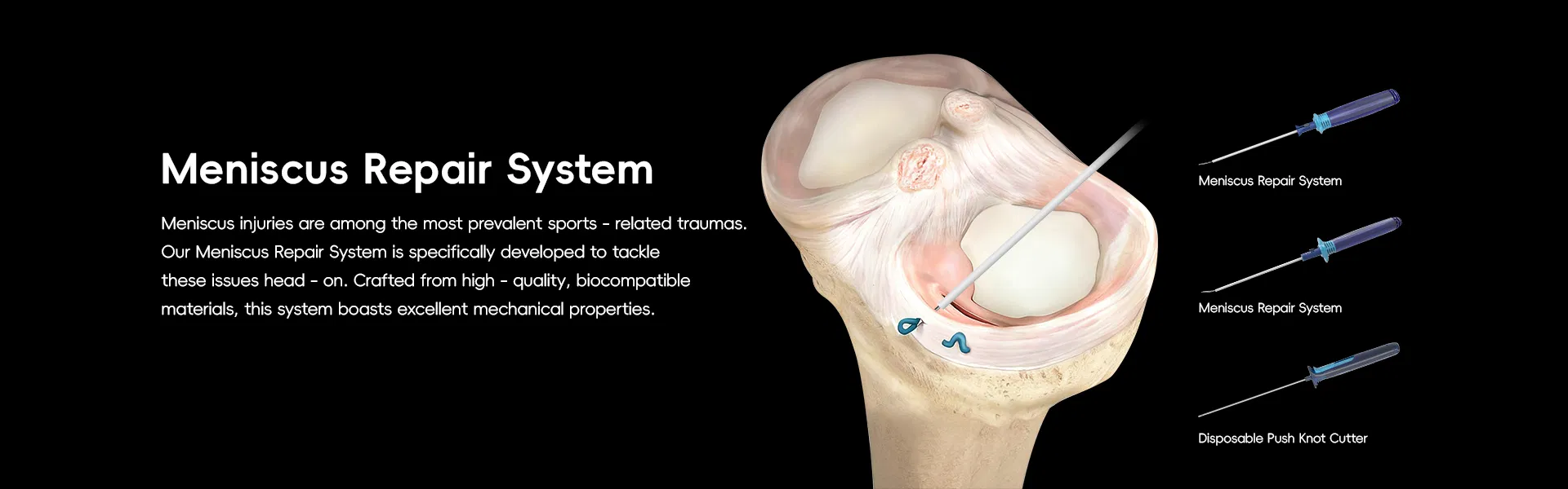 Meniscus Repair