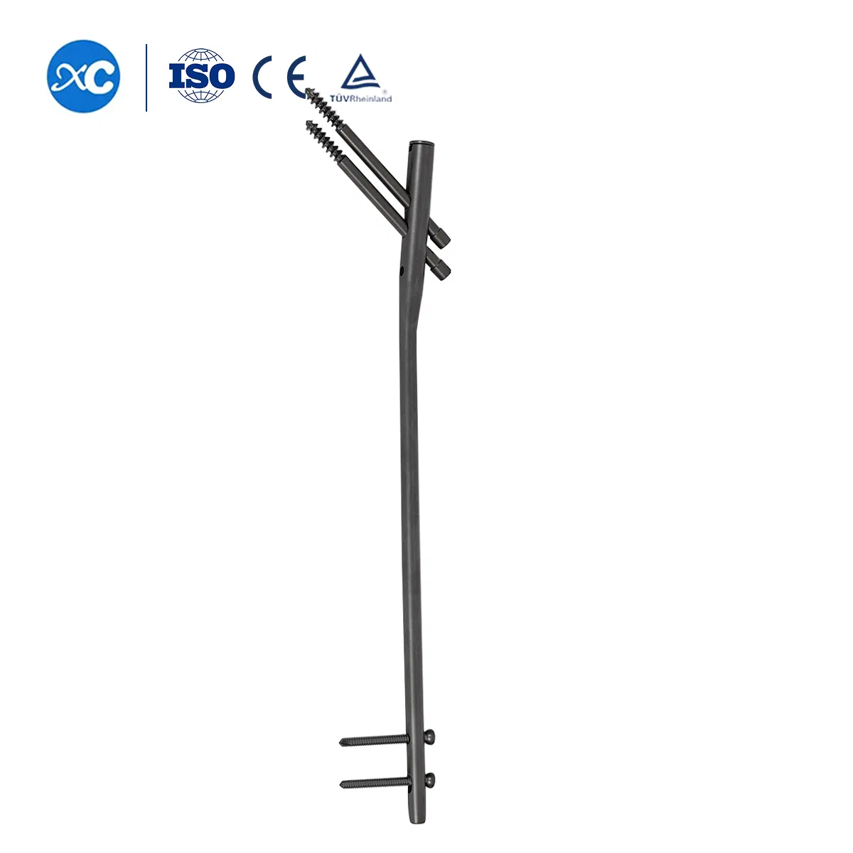 Femur Bone Femoral Reconstruction System Orthopedic Implants Implants