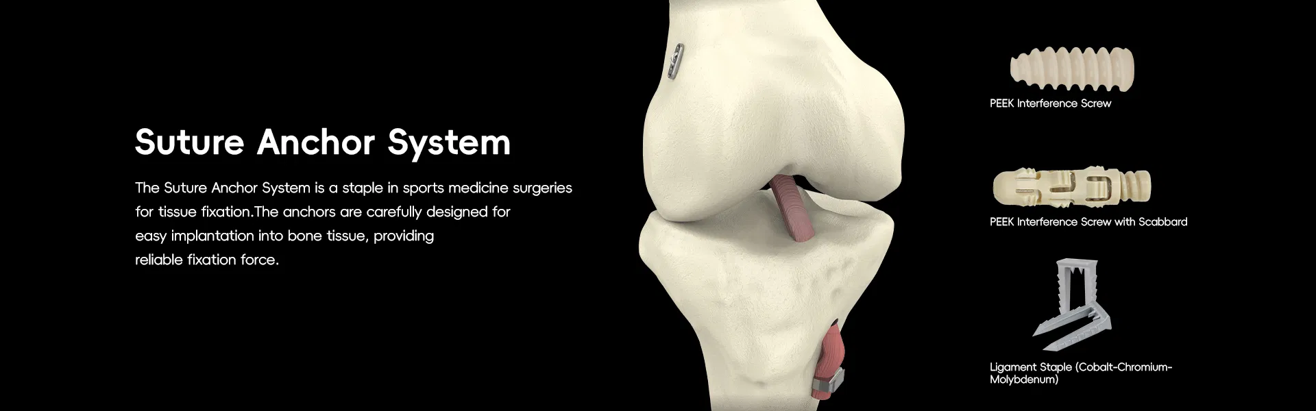 Suture Anchor System